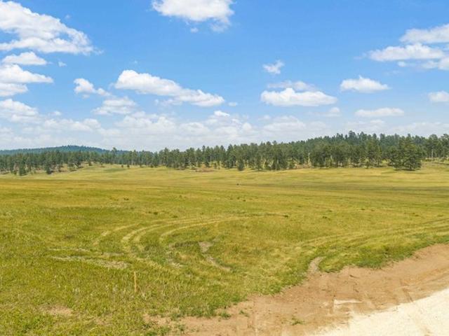 Land for sale in Custer, South Dakota