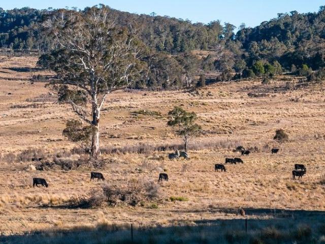Cottage for sale in Kybeyan, New South Wales