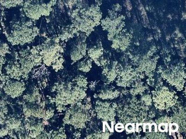 Land for sale in Crescent City, Florida