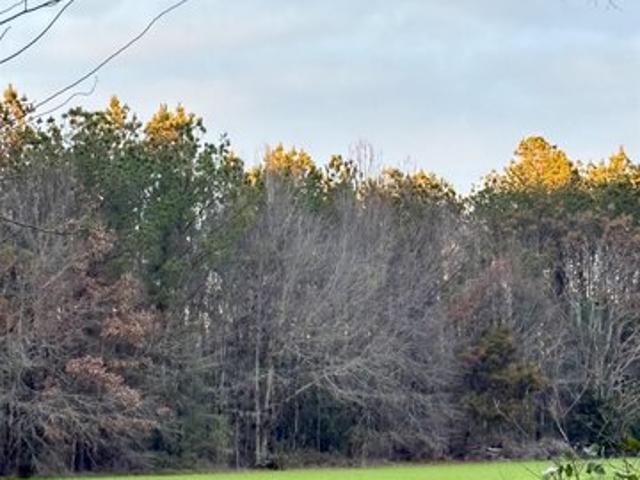 Land for sale in Frisco City, Alabama