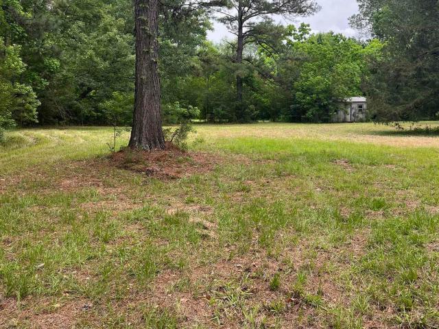 Land for sale in Stapleton, Alabama