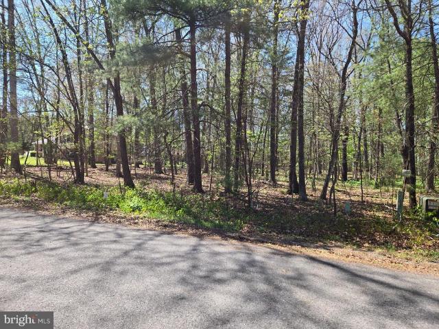 Land for sale in Hardy, West Virginia