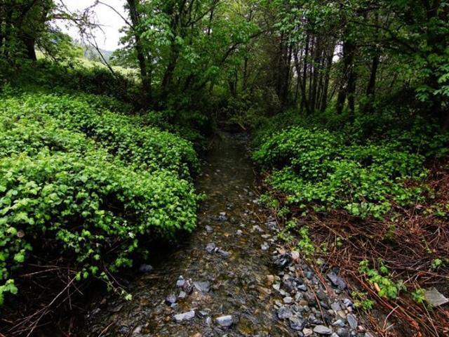 Land for sale in Oregonia
