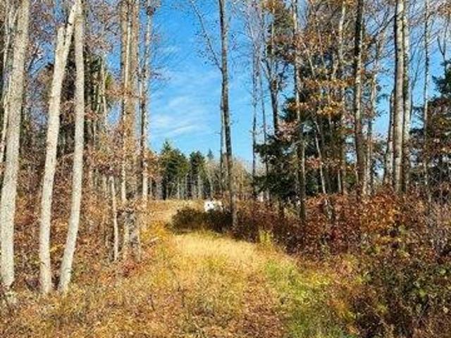 Land for sale in Wardsboro, Vermont