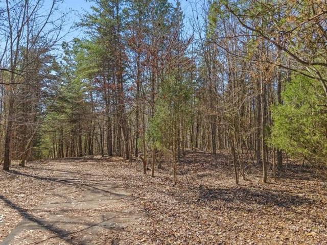 Land for sale in Tennessee