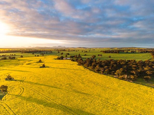 Acreage for sale in Cranbrook, Western Australia