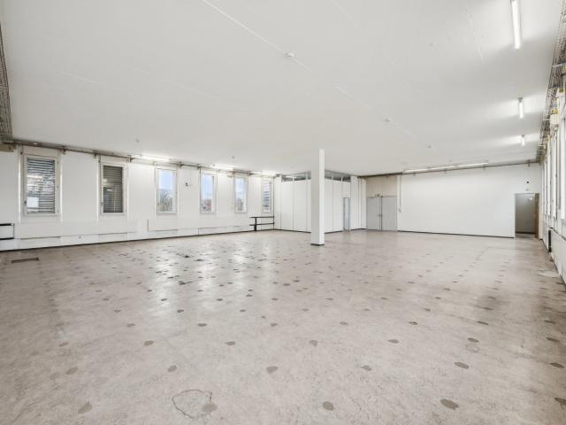 Industrie mieten in Arlesheim, Bezirk Arlesheim