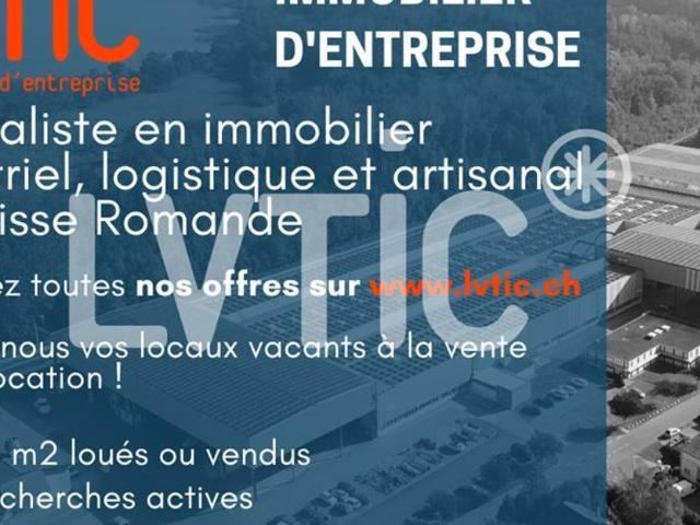 Industrie kaufen in Bussigny-près-Lausanne, Waadt