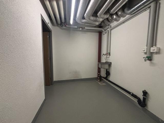 Industrie kaufen in Meyrin