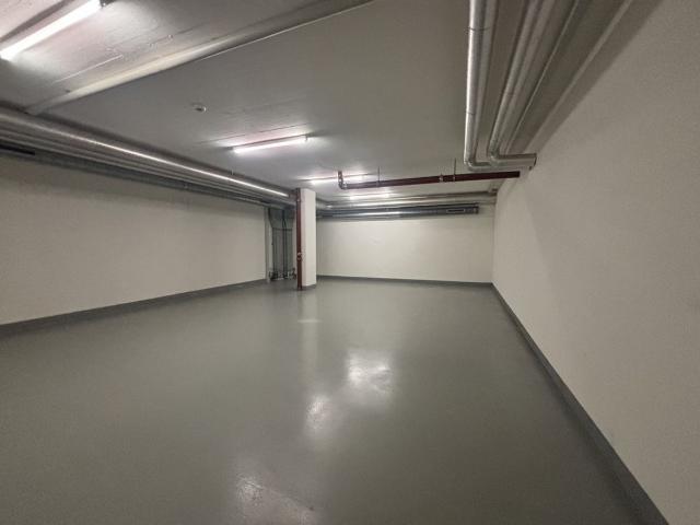 Industrie kaufen in Meyrin
