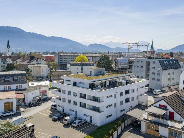 Industrie kaufen in Diepoldsau, St. Gallen