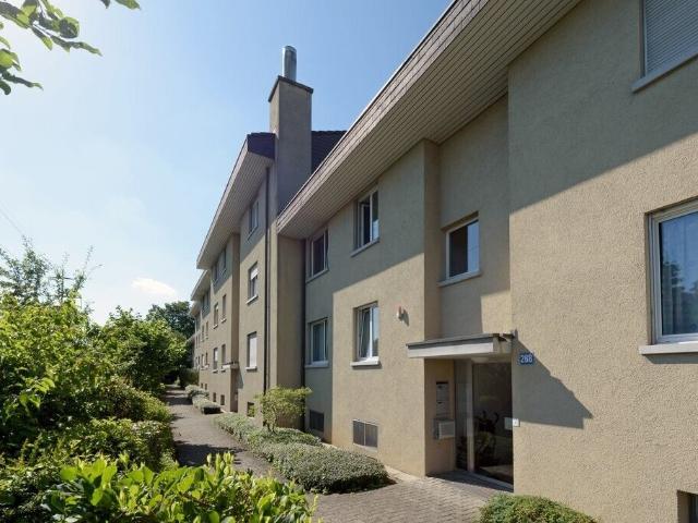 Industrie mieten in Affoltern, Zürich