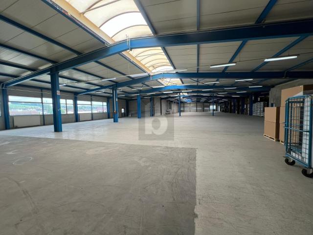 Industrie kaufen in Mettmenstetten, Zürich