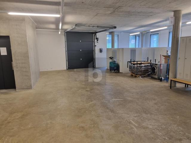 Industrie mieten in Mont-sur-Lausanne, Waadt