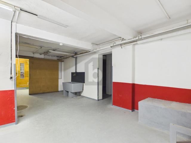 Industrie mieten in Biberist, Solothurn
