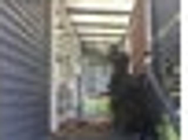 House for rent in Kawau Island