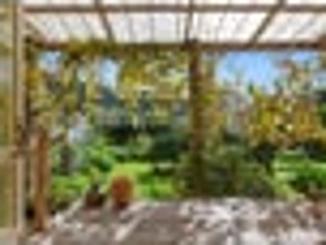 House for rent in Kawau Island