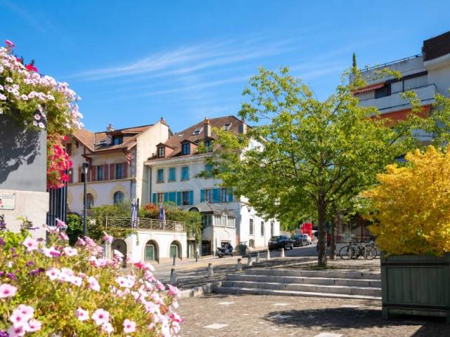 Wohnung kaufen in Chêne-Bourg