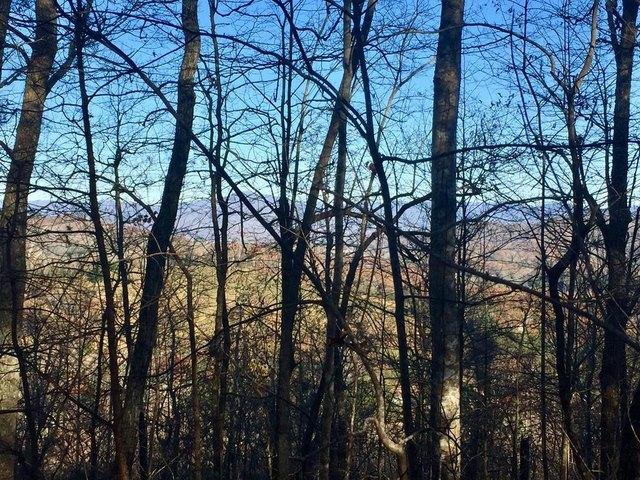 Land for sale in Warne, Clay County