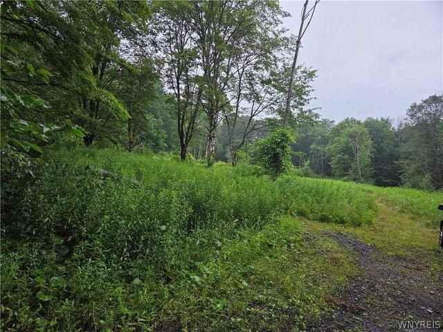 Farm for sale in Town of Holland, Erie County