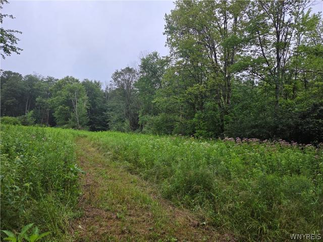 Land for sale in Town of Holland, Erie County