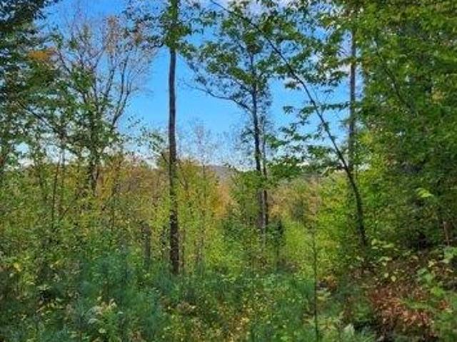 Land for sale in New Hampshire