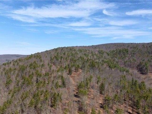 Land for sale in New York