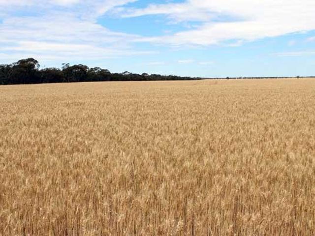 Property for sale in Lah, Warracknabeal