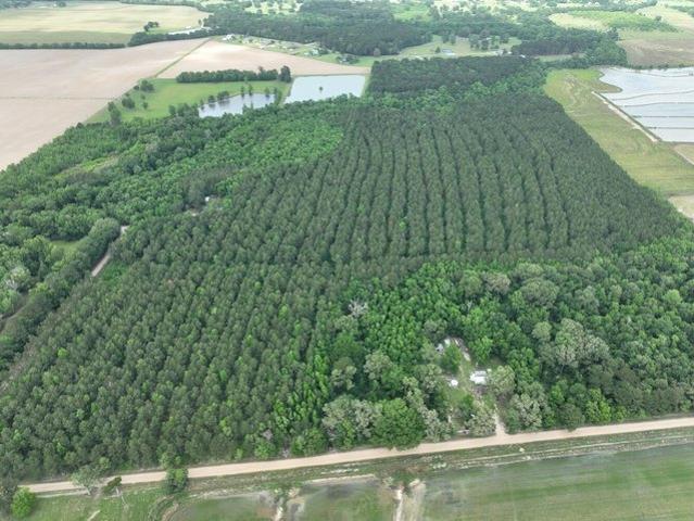 Land for sale in Evangeline, Louisiana