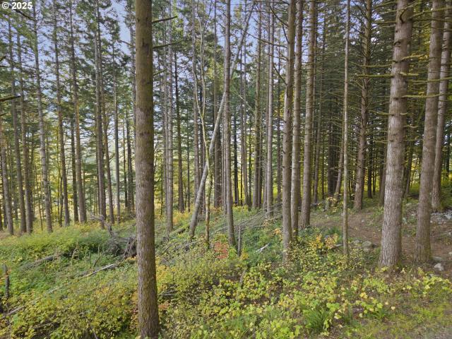 Land for sale in North Bonneville, Washington