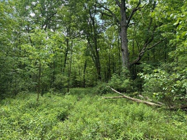 Land for sale in Middlesex