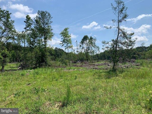 Land for sale in Pittsville