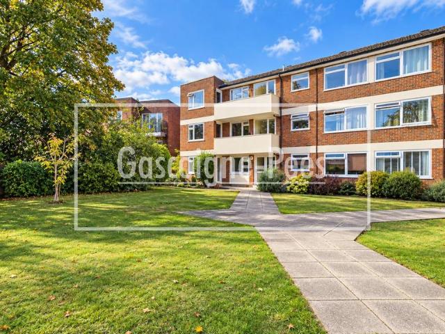 Apartment for rent in Charlotteville, Guildford