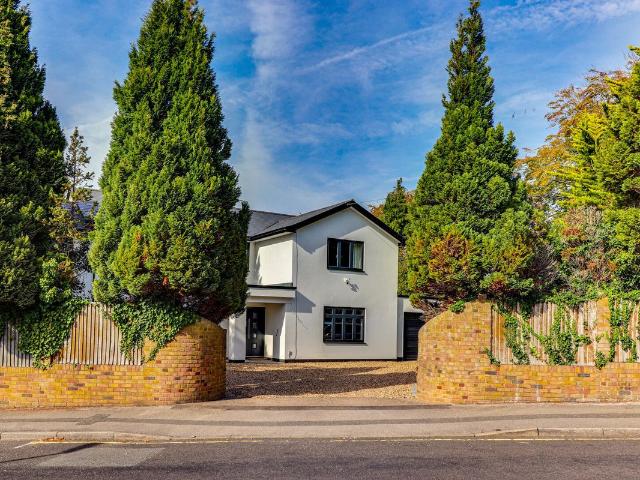 Apartment for rent in Charlotteville, Guildford
