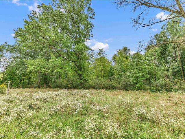 Land for sale in Vienna, Ohio