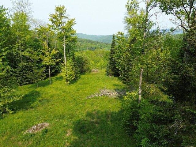 Land for sale in Warren, Vermont