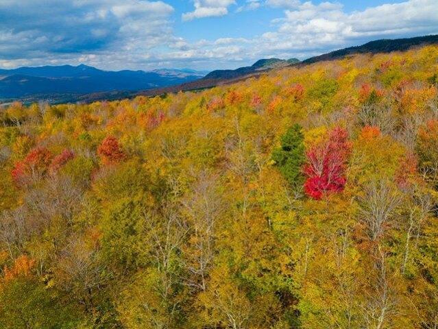 Land for sale in Warren, Vermont