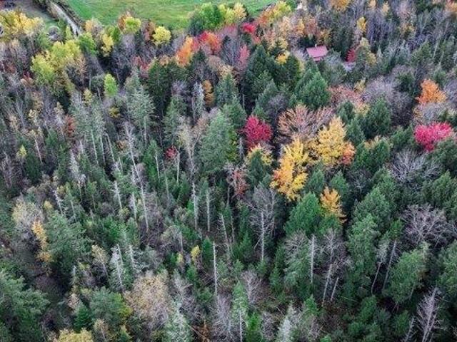 Land for sale in Warren, Vermont