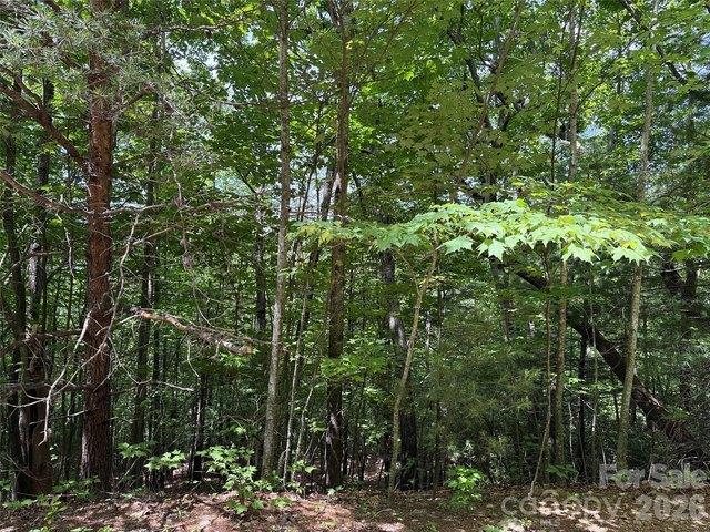Land for sale in Purlear, North Carolina
