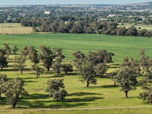 Cottage for sale in New South Wales