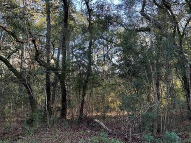 Land for sale in Lacombe, St. Tammany Parish