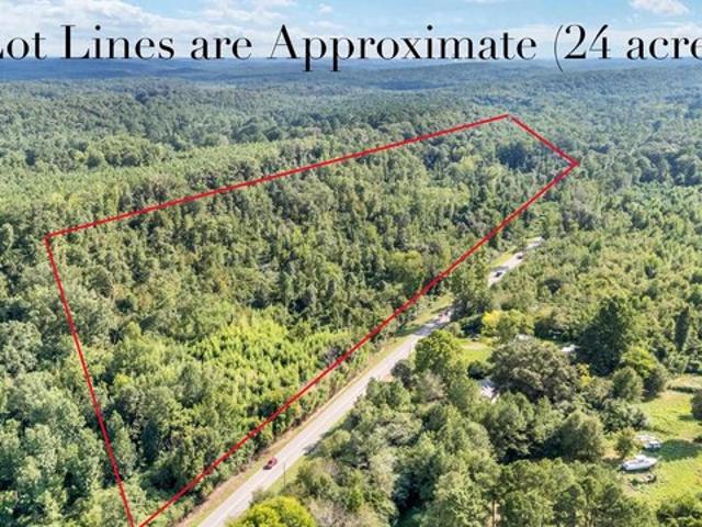 Land for sale in Dora, Alabama