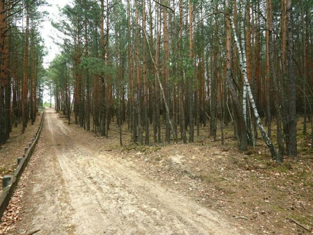 Komercyjne na sprzedaż w Warszawa, Mazowieckie