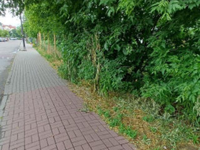 Grunt na sprzedaż w Warszawa, Mazowieckie