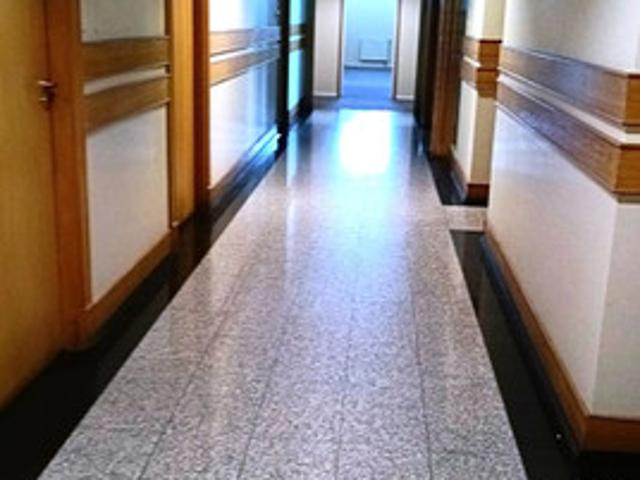 Komercyjne do wynajęcia w Ząbki, Mazowieckie