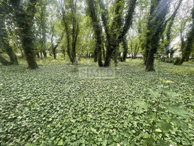 Biuro do wynajęcia w Warszawa, Mazowieckie