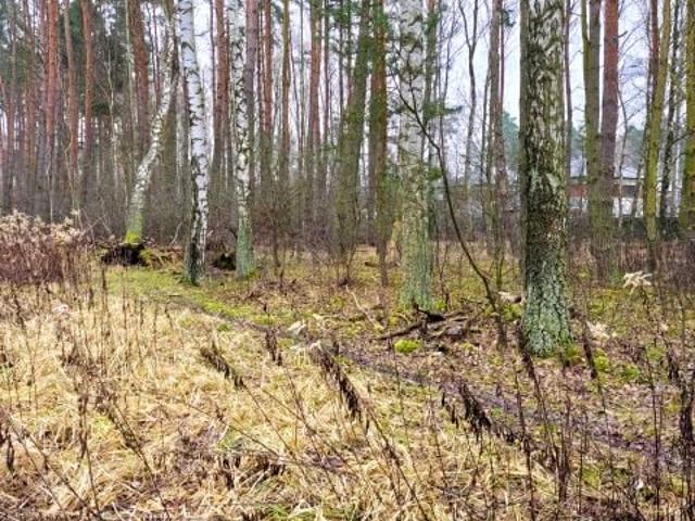Grunt na sprzedaż w Grudziądz, Kujawsko-pomorskie