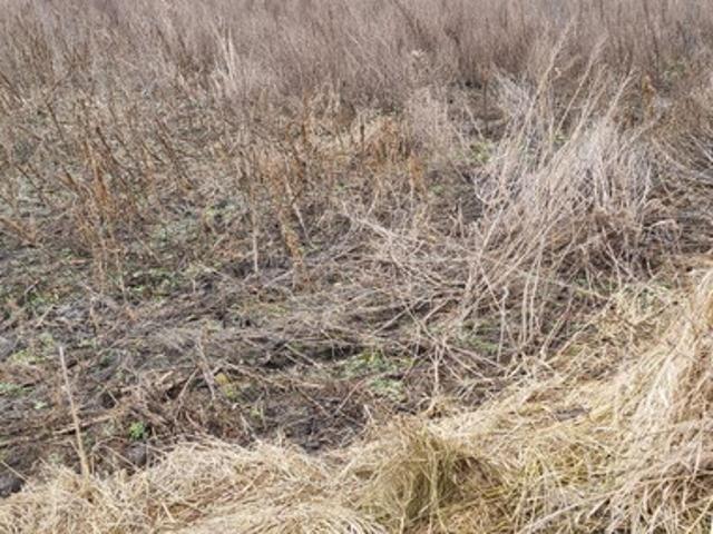 Grunt na sprzedaż w Ożarów Mazowiecki, Mazowieckie