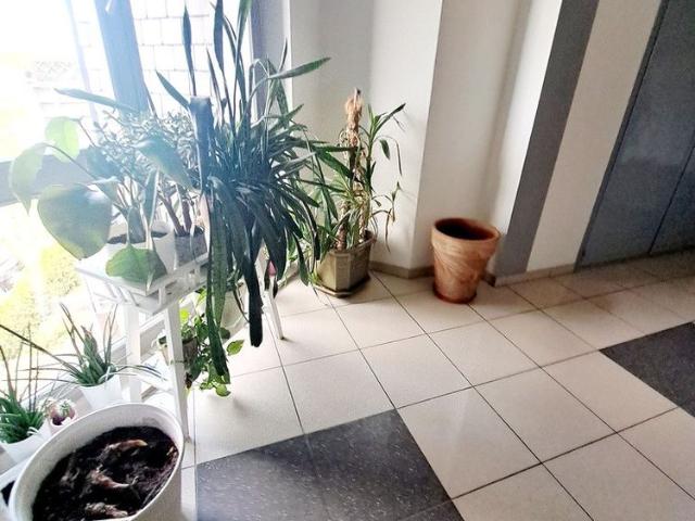 Mieszkanie do wynajęcia w Szczecin, Zachodniopomorskie