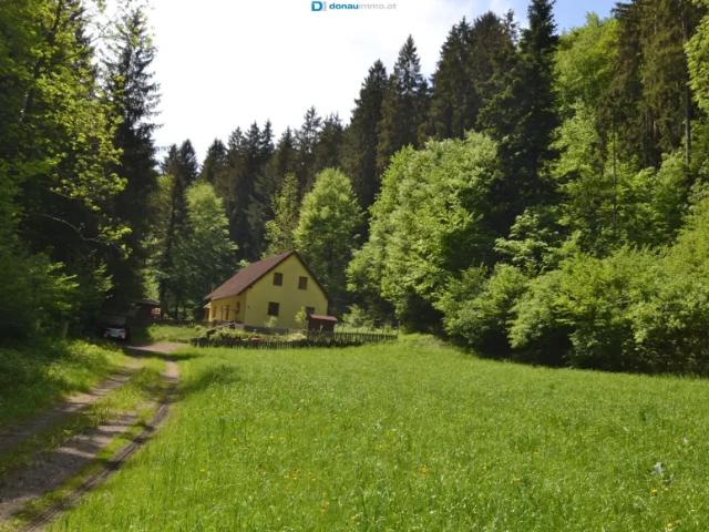 Haus kaufen in Warth, Niederösterreich